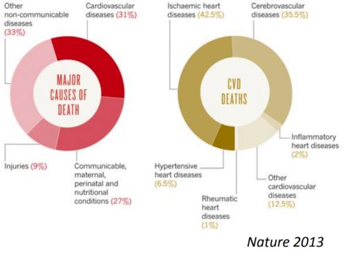 NTU研發(fā)革命性AI工具 基于先進(jìn)理論與算法，賦能心電圖精準(zhǔn)解讀